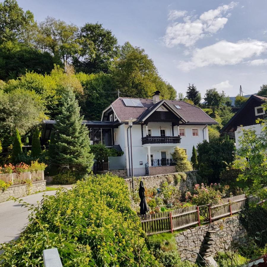 Rent A Radl Apartment Trebesing Екстериор снимка